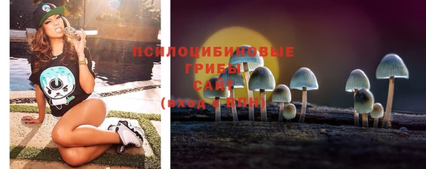 бутират Бугульма