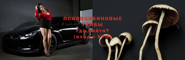 бутират Бугульма